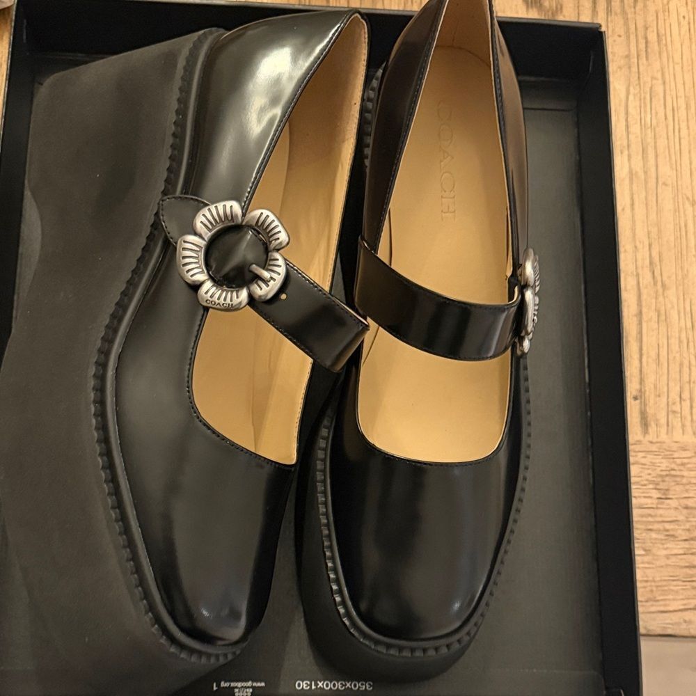Coach TR PLATFORM LEATHER MARY JANES.  NEW